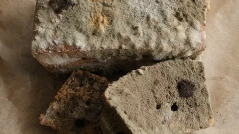 Moldy bread rotating, turning round, from above 스톡 동영상 115832784