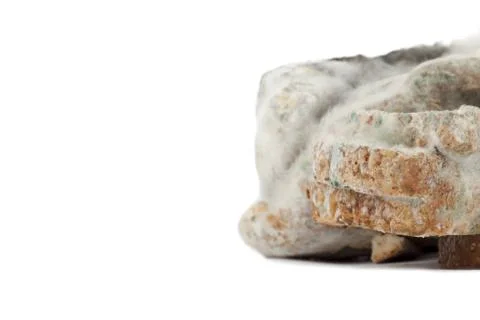 Moldy bread slices Stock Photos