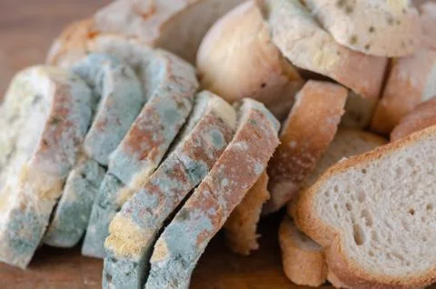 Moldy bread slices Stock Photos