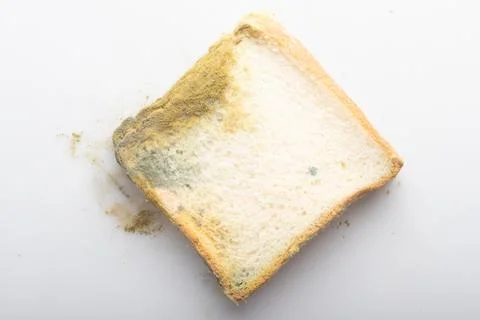 Moldy bread on a white background Stock Photos