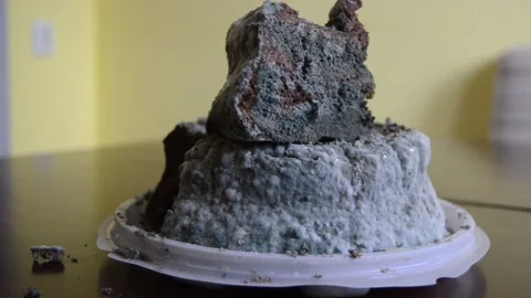 Moldy cake Stock Footage 147943820