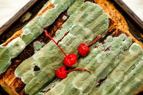 Moldy cake Stock Photos