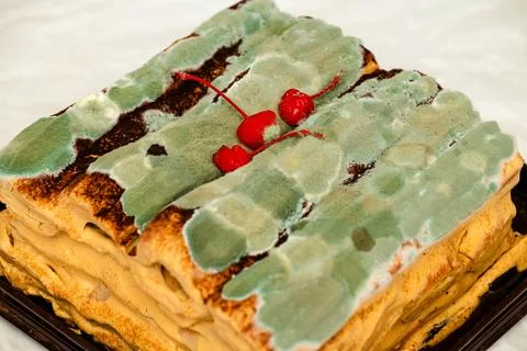Moldy cake Stock Photos