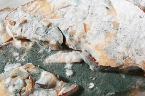 Moldy cheese Stock Photos