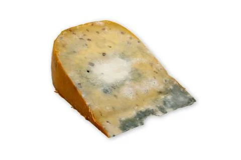 Moldy Cheese Stock Photos