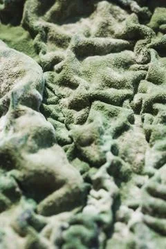 Moldy cottage cheese macro surface Stock Photos