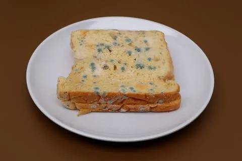 Moldy expired bread Stock Photos