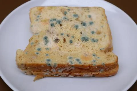 Moldy expired bread Stock Photos