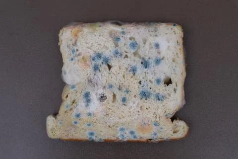 Moldy expired bread Stock Photos