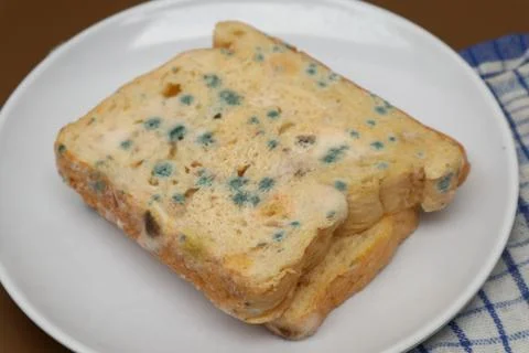 Moldy expired bread Stock Photos