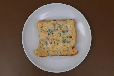 Moldy expired bread Stock Photos