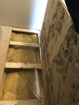 Moldy Flooring with Exposed Insulation Stock Photos