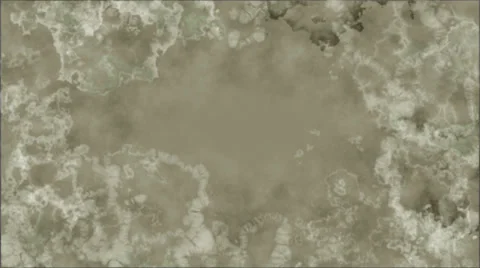 Moldy Stock Footage 33265283