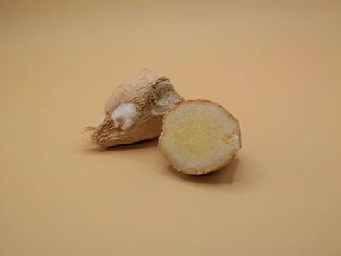 Moldy ginger root cut in half  food safety concept Stock Photos