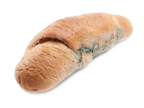Moldy loaf Stock Photos