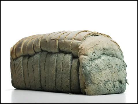 Moldy loaf of sliced bread Stock Photos
