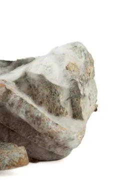 Moldy organic bread Stock Photos