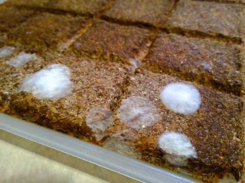 Moldy raw bread Stock Photos