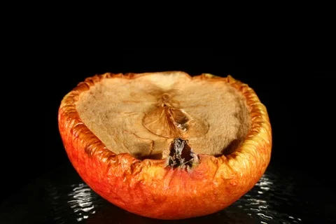 Moldy rotten apple. Timelapse Video stock 108848388