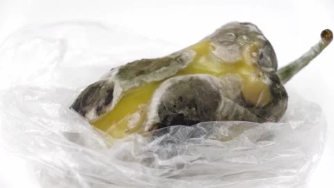 Moldy spoiled pepper in a plastic bag rotate on a white background. closeup. Stock Footage 246060888