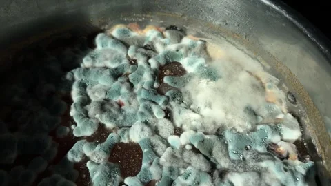 Moldy surface of decomposing liquid food in metal container Stock Footage 307845086