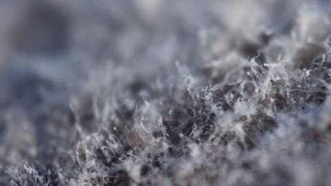 A moldy surface under a microscope. Food preservation and pharmaceutical product Stock Footage 156522749