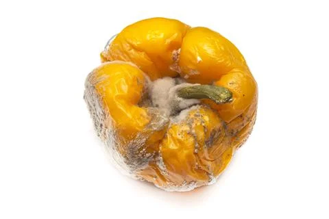 Moldy vegetable Stock Photos