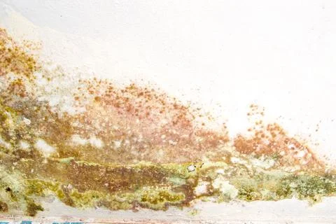 Moldy wall Stock Photos