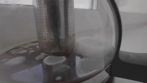 Moldy water in transparent kettle with rust from long using Stock Footage 242339005