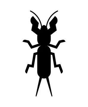 Mole cricket isolated sign. large burrowing nocturnal cricket Stock Illustration