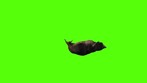 Mole Death Green Screen Animation 4K Rendering Vídeos de archivo 281392995