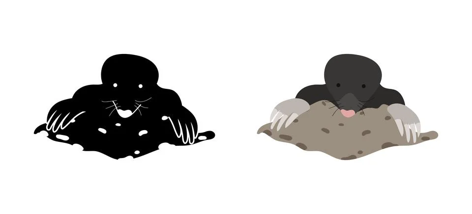 Mole digging and emerging from the ground and its silhouette Stock Illustration