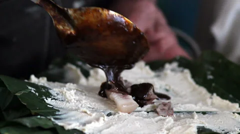 Mole Stock-Footage 32304237