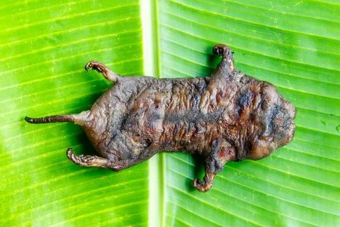 Mole grilled 스톡 사진