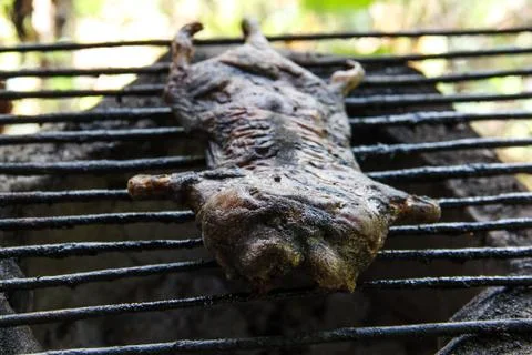 Mole grilled 스톡 사진