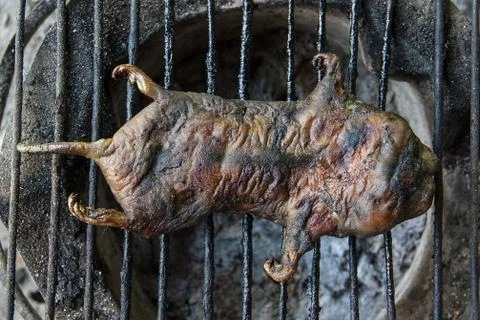 Mole grilled Stock Photos