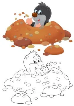 Mole Stock Illustration