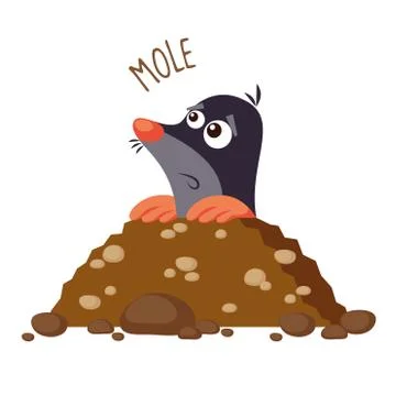 Mole vector illustration Stock Illustration