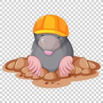 Mole wearing hard hat digging in muddy ground 스톡 일러스트