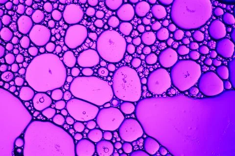 Molecular abstract of bubbles in purple Stock Photos