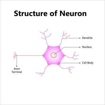 Molecular abstract structure background. Scientific vector illustration Stock Illustration