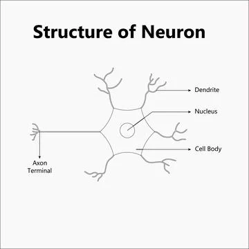 Molecular abstract structure background. Scientific vector illustration Stock Illustration