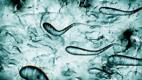 Molecular and organic scene in microscopic scale Stock Footage 91776191
