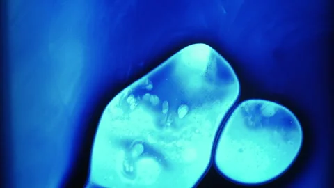 Molecular background paint drop neon water drop Video stock 316195296