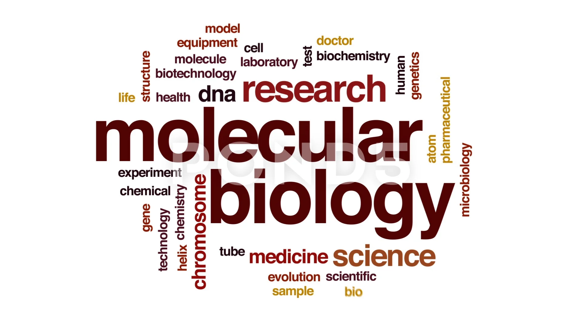 Molecular biology animated word cloud, t, Stock Video