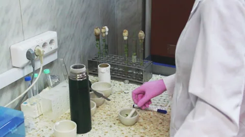 Molecular Biology 스톡 동영상 34094236