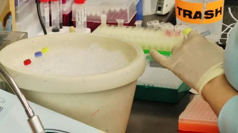 Molecular Biology research Video stock 2268024