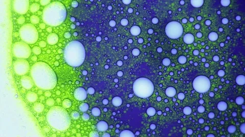 Molecular connections, structures. Organic metamorphose, background with bubbles Stock Footage 122040230