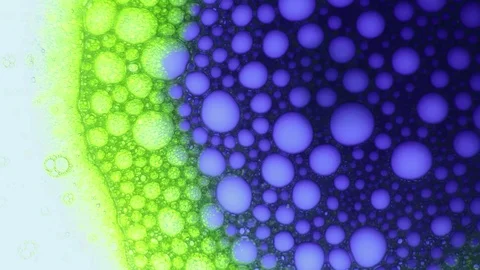 Molecular connections, structures. Organic metamorphose, background with bubbles Stock Footage 122040242