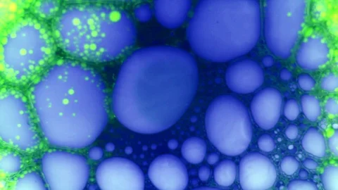 Molecular connections, structures. Organic metamorphose, background with bubbles Stock Footage 122040317